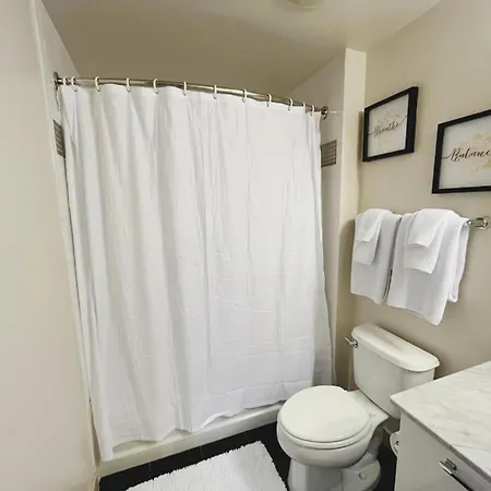 Charming Studio In Downtown Silver Spring Md Extérieur photo